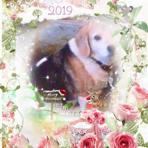 Meet your Posher, Margaret